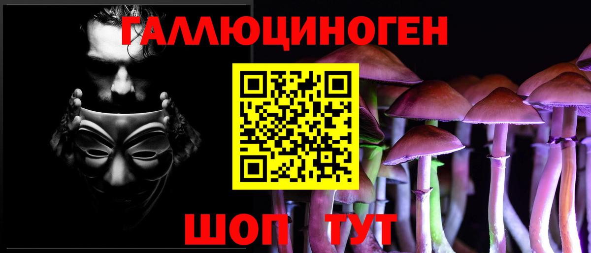 Наро-Фоминск  Галлюциногенные грибы Cubensis  Вход с VPN 